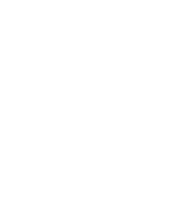 Temporary Logo